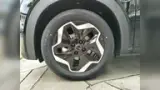 BYD Dolphin - Miniatura 14
