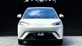 BYD Dolphin Mini - Miniatura 2