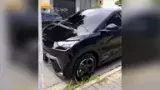 BYD Dolphin Mini - Miniatura 1