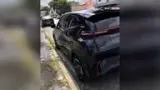 BYD Dolphin Mini - Miniatura 2