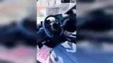 BYD Dolphin Mini - Miniatura 9