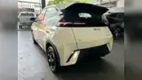 BYD Dolphin Mini - Miniatura 2