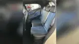 BYD Dolphin Mini - Miniatura 11