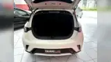 BYD Dolphin - Miniatura 14