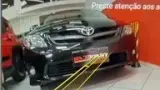 BYD Dolphin - Miniatura 17