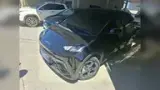 BYD Dolphin Mini - Miniatura 2