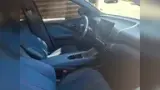 BYD Dolphin Mini - Miniatura 6