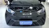 BYD Dolphin Mini - Miniatura 9