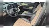 BYD Dolphin - Miniatura 2