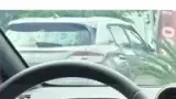 BYD Dolphin - Miniatura 3