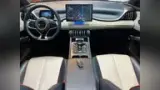 BYD Yuan Plus - Miniatura 13