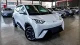 BYD Dolphin Mini - Miniatura 1