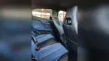 BYD Dolphin Mini - Miniatura 8