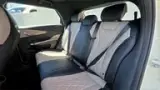 BYD Dolphin - Miniatura 18