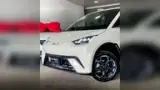 BYD Dolphin Mini - Miniatura 2