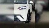 BYD Dolphin Mini - Miniatura 3