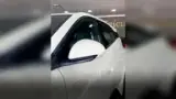 BYD Dolphin Mini - Miniatura 5
