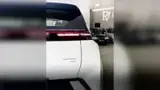 BYD Dolphin Mini - Miniatura 7