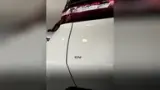 BYD Dolphin Mini - Miniatura 8