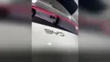 BYD Dolphin Mini - Miniatura 9