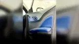 BYD Dolphin Mini - Miniatura 18