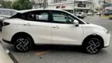 Neta Aya - Miniatura 6