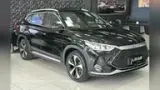BYD Song Plus - Miniatura 1