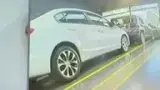 BYD Dolphin - Miniatura 7
