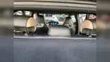 BYD Dolphin - Miniatura 17