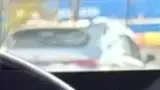 BYD Dolphin Mini - Miniatura 7