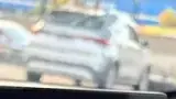 BYD Dolphin Mini - Miniatura 8