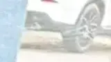BYD Dolphin Mini - Miniatura 10