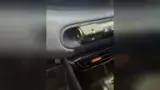 BYD Dolphin Mini - Miniatura 12