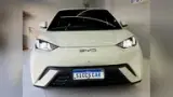 BYD Dolphin Mini - Miniatura 18
