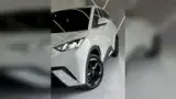BYD Dolphin Mini - Miniatura 19