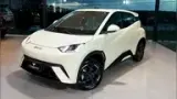 BYD Dolphin Mini - Miniatura 3