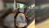 BYD Dolphin Mini - Miniatura 19