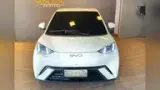 BYD Dolphin Mini - Miniatura 2