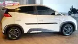 BYD Dolphin Mini - Miniatura 6
