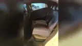 BYD Dolphin Mini - Miniatura 7