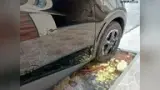 BYD Dolphin Mini - Miniatura 4