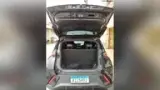 BYD Dolphin Mini - Miniatura 9