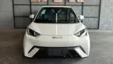 BYD Dolphin Mini - Miniatura 13