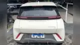 BYD Dolphin Mini - Miniatura 5