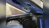 BYD Dolphin - Miniatura 12