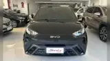 BYD Dolphin Mini - Miniatura 1