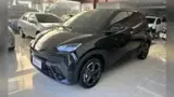 BYD Dolphin Mini - Miniatura 2