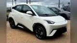 BYD Dolphin Mini - Miniatura 1