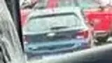 BYD Dolphin Mini - Miniatura 7