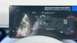 BYD Dolphin Mini - Miniatura 8